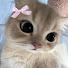 JIXvqLEKtpM-channel-avatar-Aeri Emi