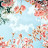 @sunny-yi5qv
