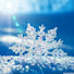 Xd0pJnbtQP0-channel-avatar-雪の花の秘密