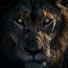 7wilQfeMwPw-channel-avatar-Raw Wild