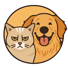 The Golden Breakfast Club net worth