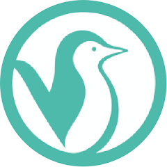 Pinguin TV
