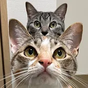 ととまるはんみ