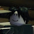 kXneKJD0MHo-channel-avatar-Kazuha;)