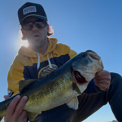 DZfish