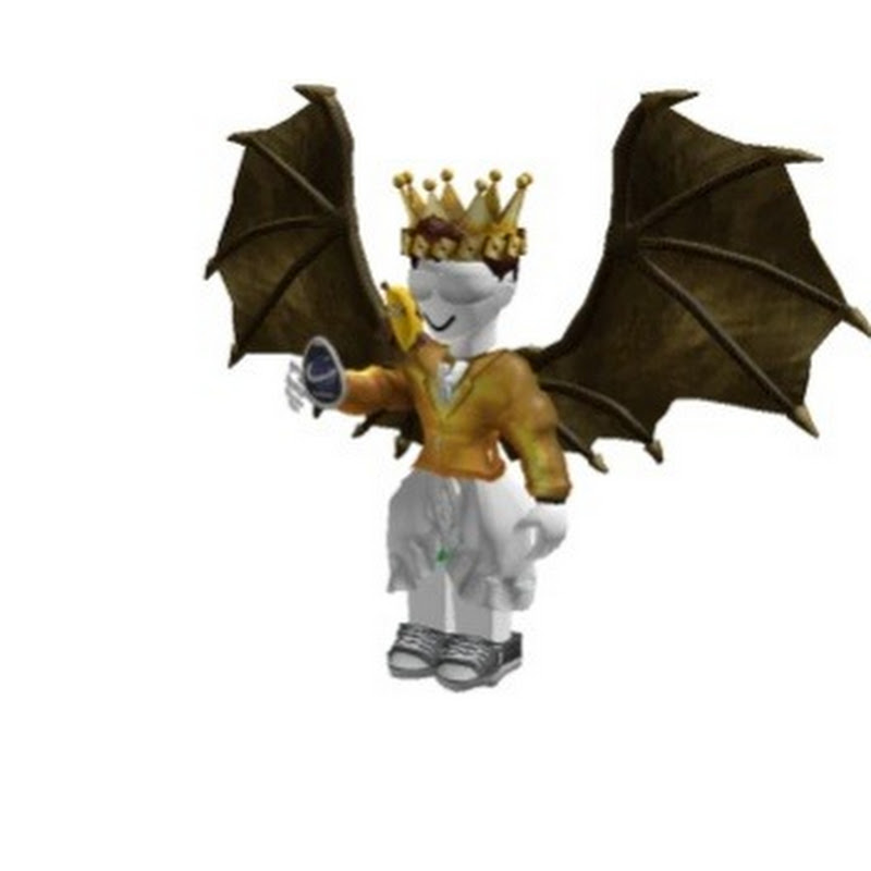 sigmacoolboy53