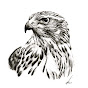 Unbiased Trading avatar
