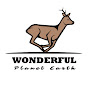 Wonderful Planet Earth - Historical Collection logo