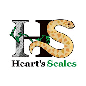 Hearts Scales