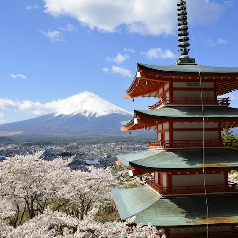 Exciting Travel Japan