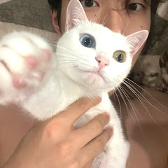 Channel thumbnail for 남진 Douyin Makeup