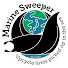 s2-Top5R-Pg-channel-avatar-Marine Sweeper Project