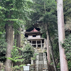 YUの日本探検隊