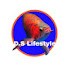 jOuJWCE0jMQ-channel-avatar-D. S LIFESTYLE 