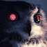 UpzrUuu9wAA-channel-avatar-Neonscapes