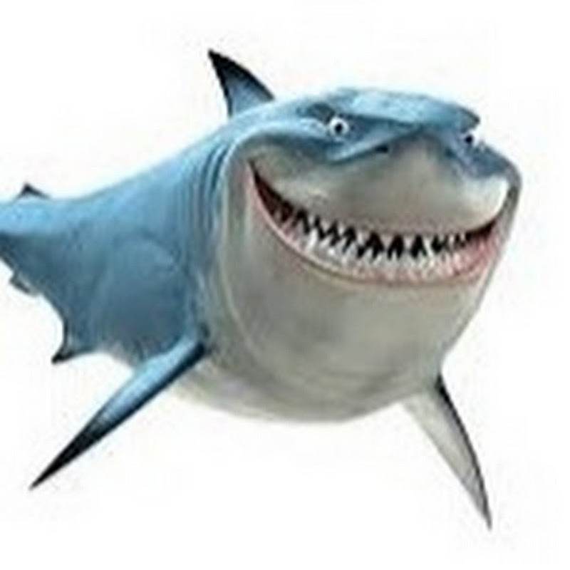 Mr Shark Shorts