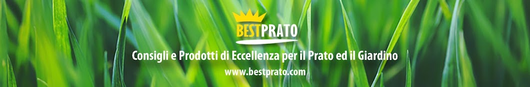 Bestprato.com رمز قناة اليوتيوب
