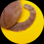 3Dtail