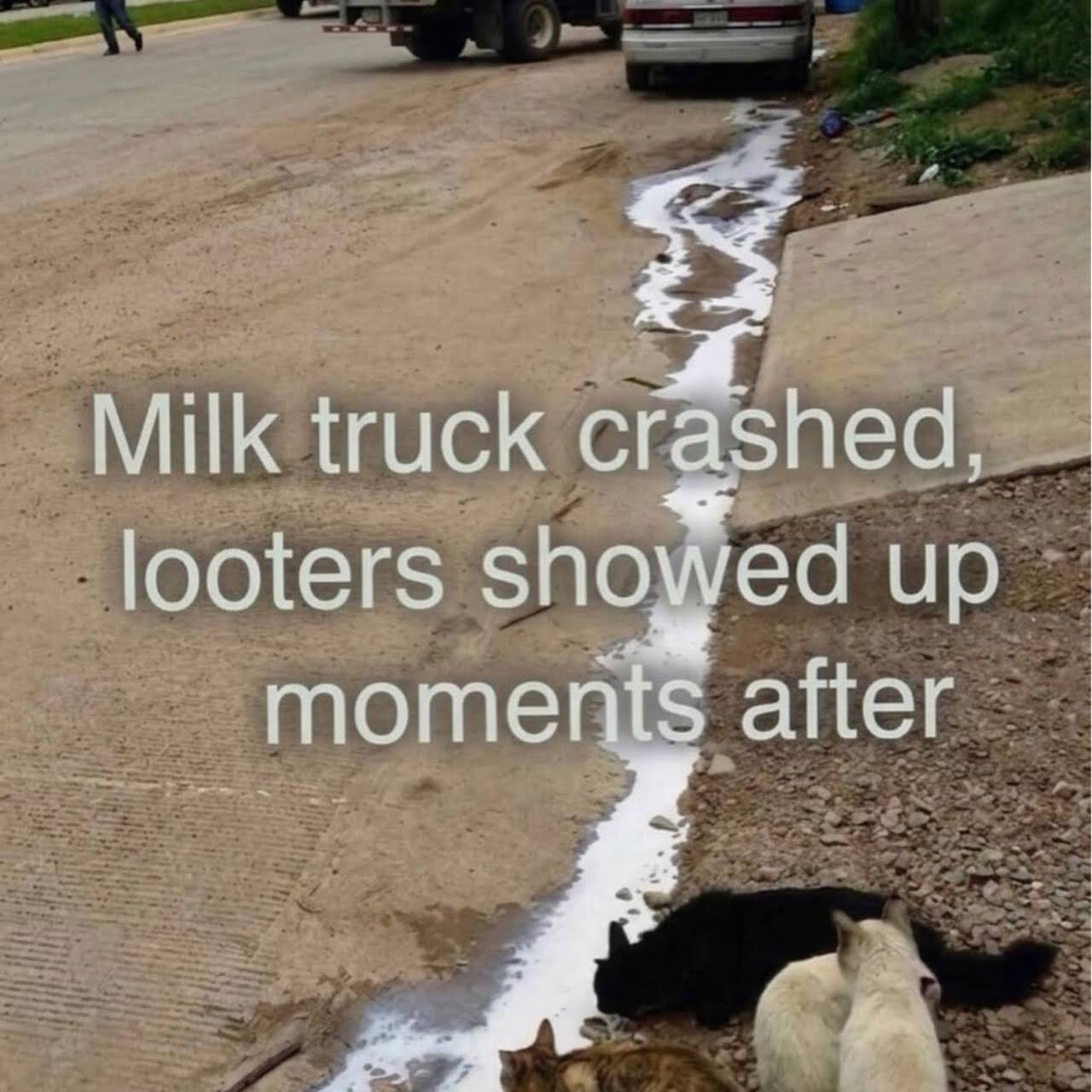 Post from Near