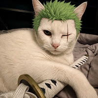 NotMe profile image