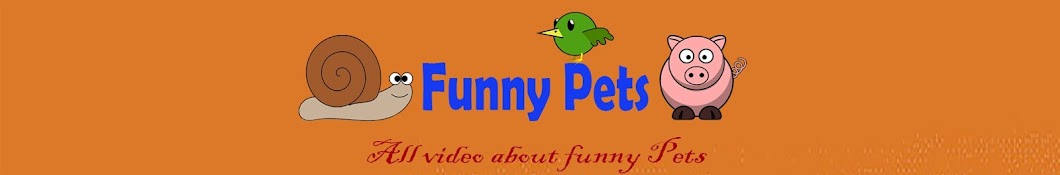 Funny Pets Awatar kanału YouTube