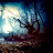 @amenahalsheikh3935