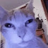 pp-n6MAI4xI-channel-avatar-Kitten Queen Star