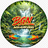 4PY37rjHDRo-channel-avatar-BGN Aquariums