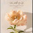 @صفاءمحمد-ج9ن