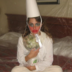 Dev Lemons net worth