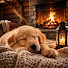 mC2kfFD18pM-channel-avatar-Gentle Dog Lullabies