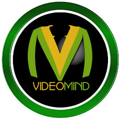 VideoMind