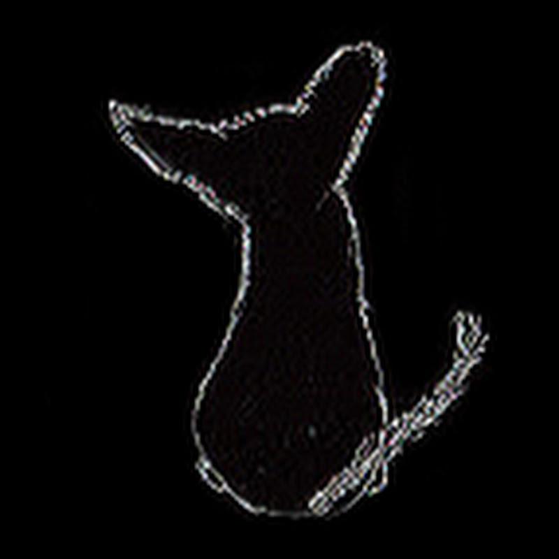 BmeDog