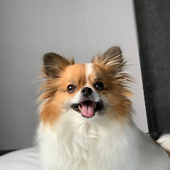 jo