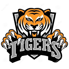 Tiger Pro Bhai