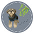 i5nm4XX-cgM-channel-avatar-こしょうさんぽ・愛犬おでかけ帖