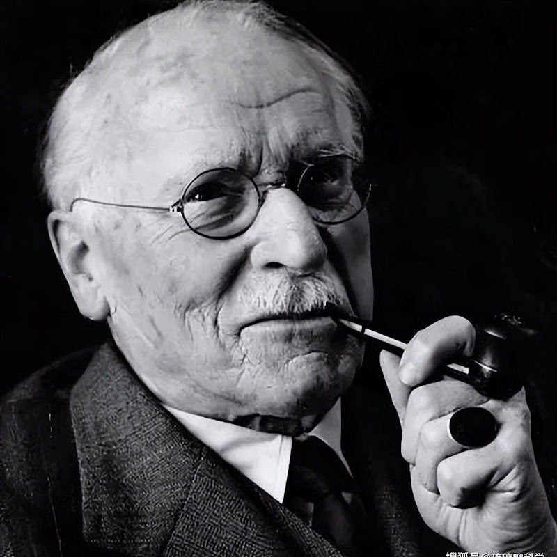 Jung in Real Life Logo