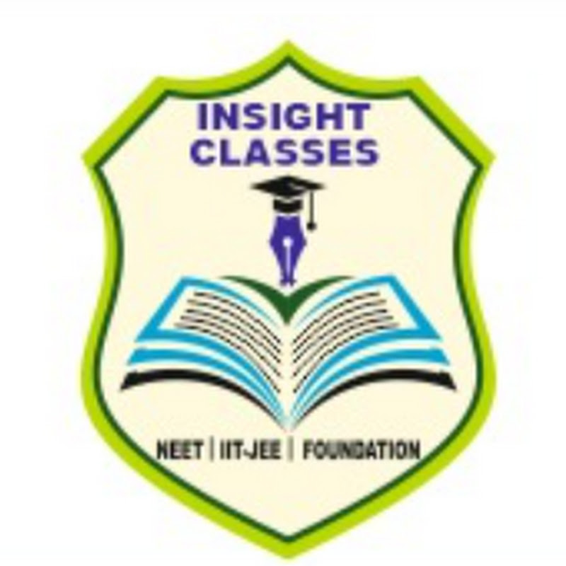 Insight Classes icon