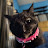 @PeywackettheCat