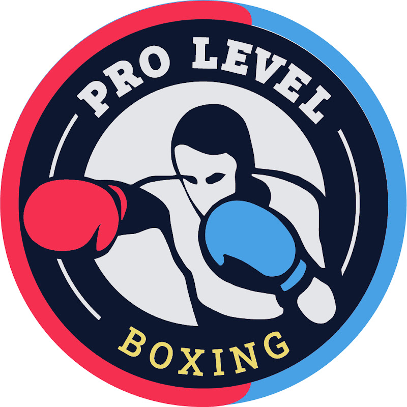 Pro Level Boxing