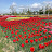 @sky_baraki