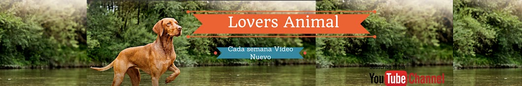 Lovers Animal Avatar de chaîne YouTube