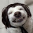 @my_puppy821