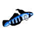 QwAv3-1MJww-channel-avatar-少年の水族館