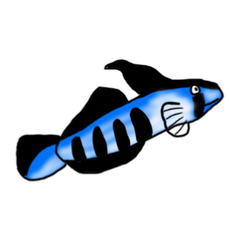少年の水族館  Outdoor Aquarium