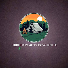 HiddenbeautyTv wildlife 