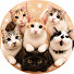 OZXmtUvFlp4-channel-avatar-おかしなねこたち