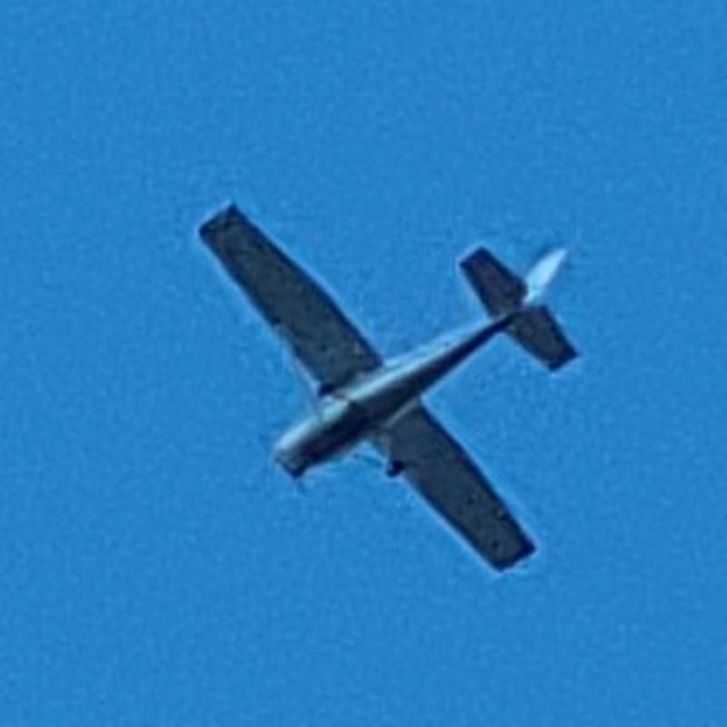Sarcoono icon