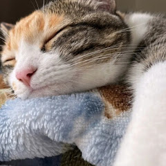 眠たいマンchannelアイコン画像