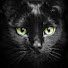 x0OjD8BEpdY-channel-avatar-Таро с Надей